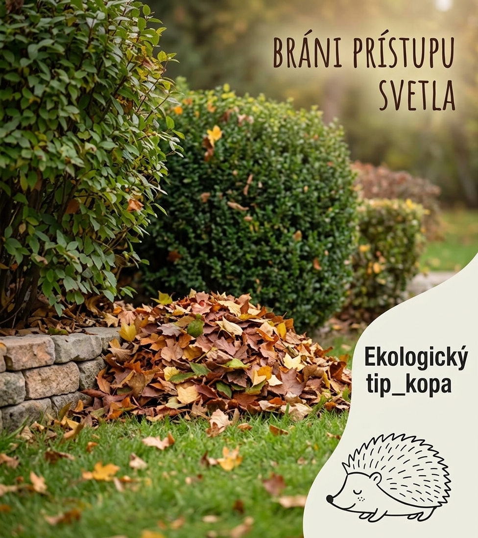 Kôpka lístia ako útočisko pre ježkov cez zimu