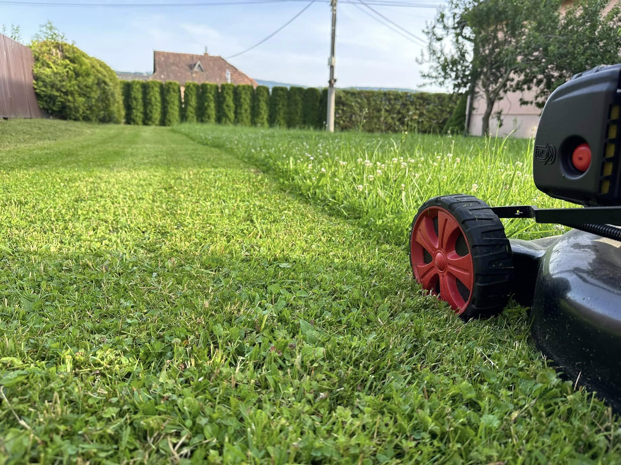 Pokosený trávnik GrassCare – Orava