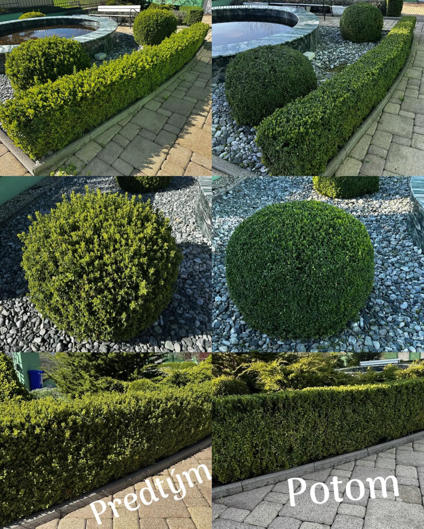 Pravidelná údržba trávnika – GrassCare